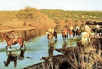 Grupp till häst i närheten av Omis